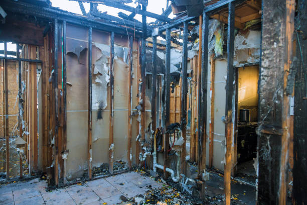 Professional Odor Removal technician working in Malakoff, TX